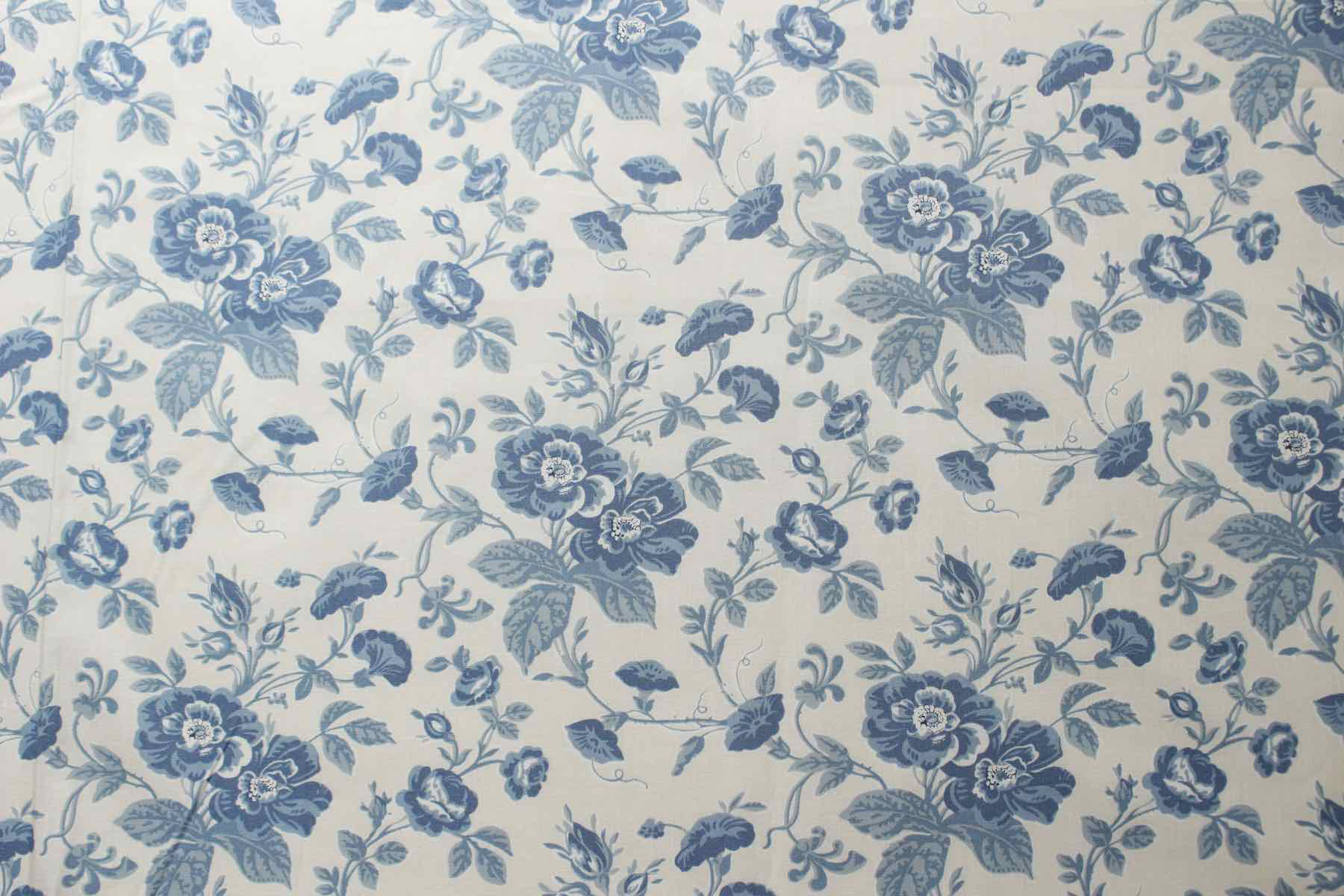 Jpi Bleu De France Mancini<br />パ-ル